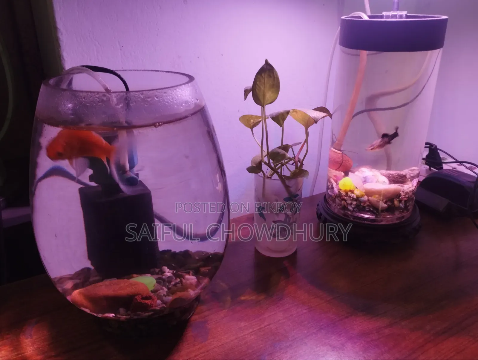 Aquarium Full Setup