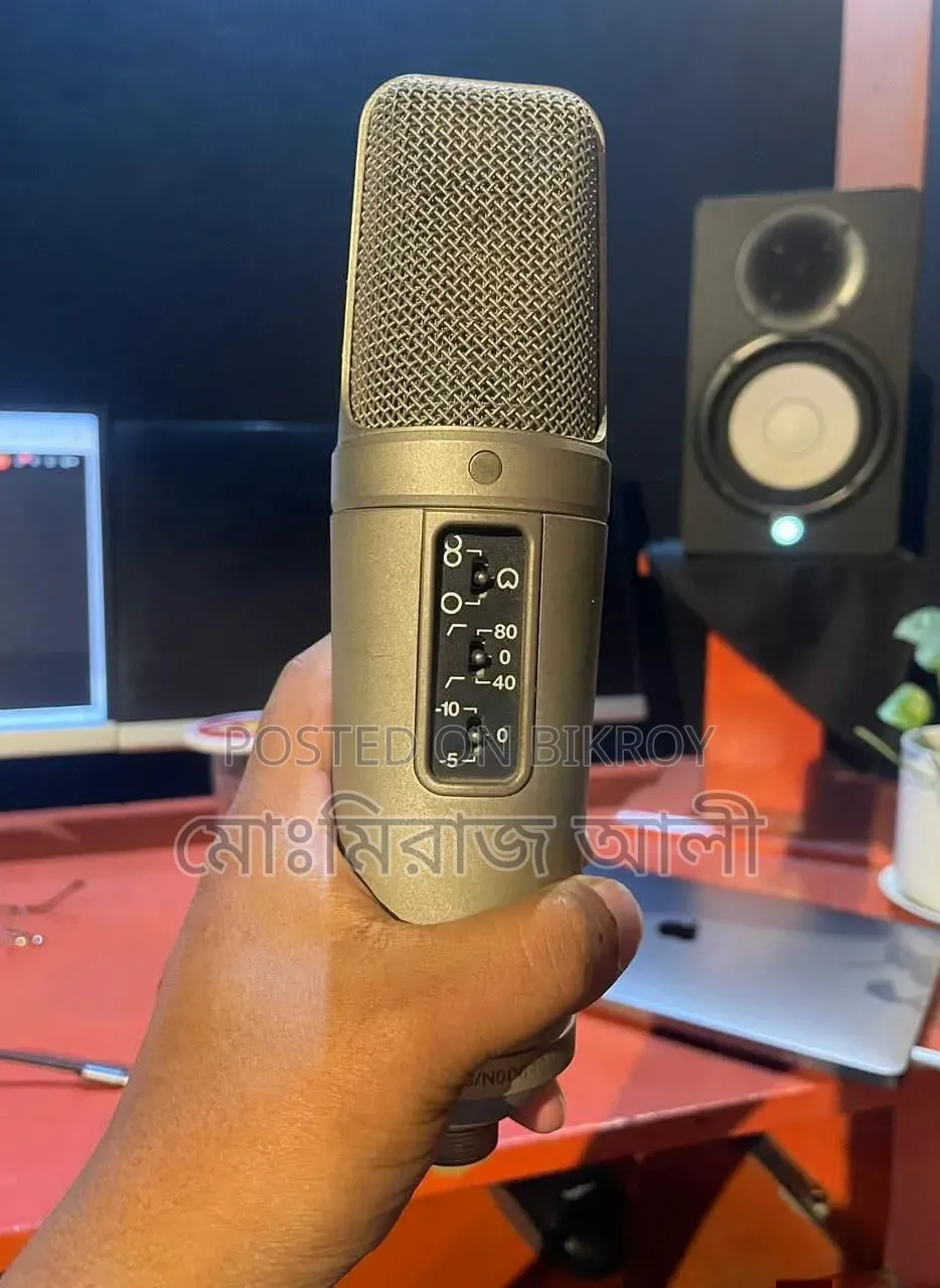 Road Microphone