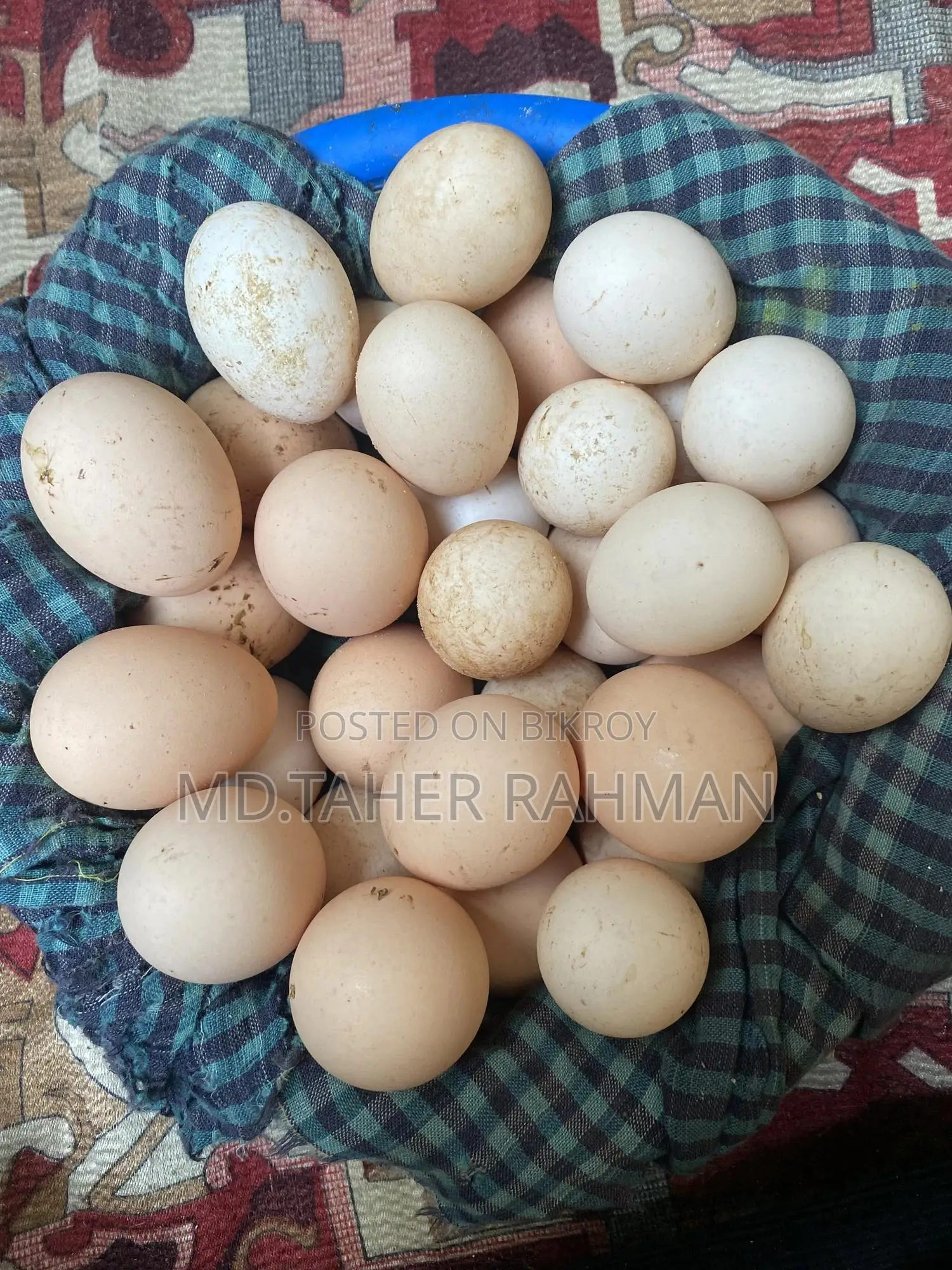 গোল্ডেন সেবরাইট ও ইউরোপিয়ান সিল্কির বীজ ডিম