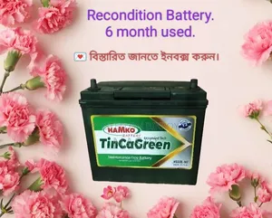 12 Volt 45ah Battery