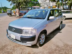 Toyota Probox 2013 Silver