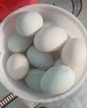 হাঁসের ডিম