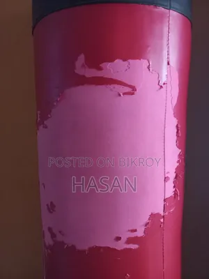 Standing Boxing/Punching Bag