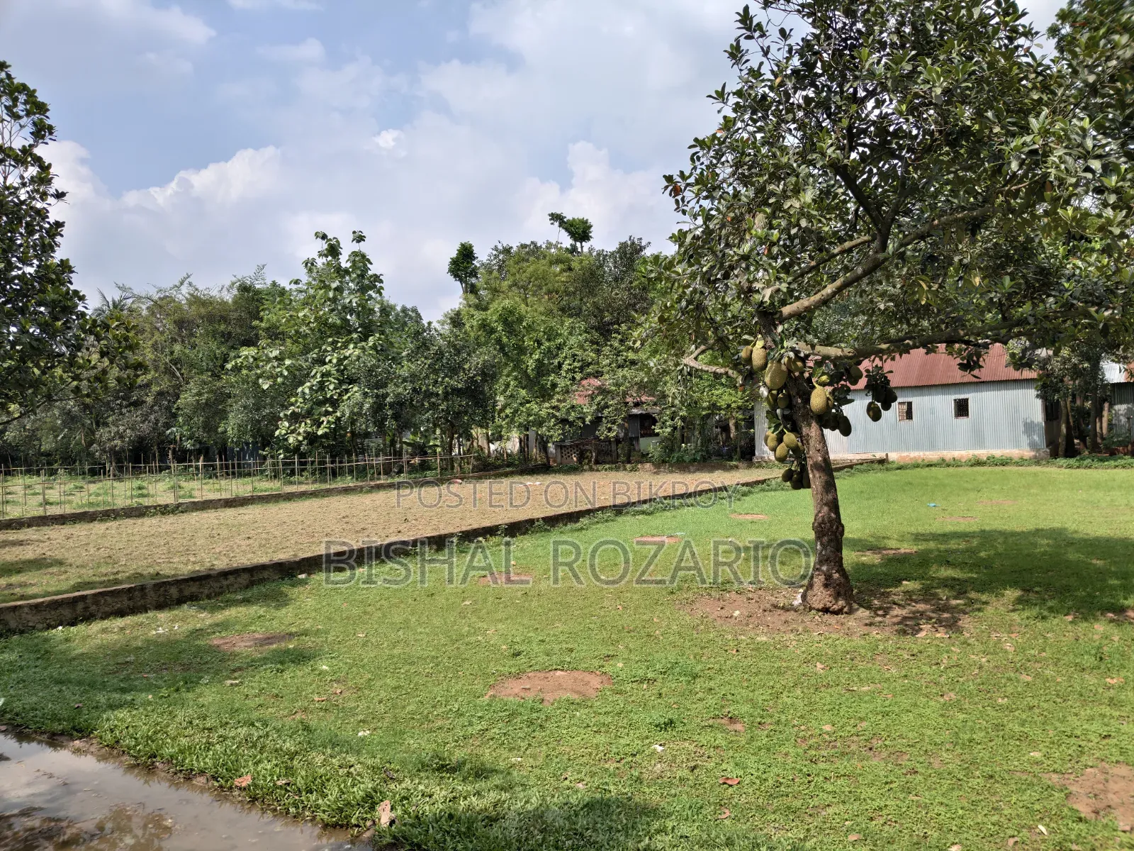 Urgent Land Sale