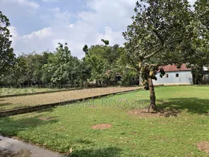 Urgent Land Sale