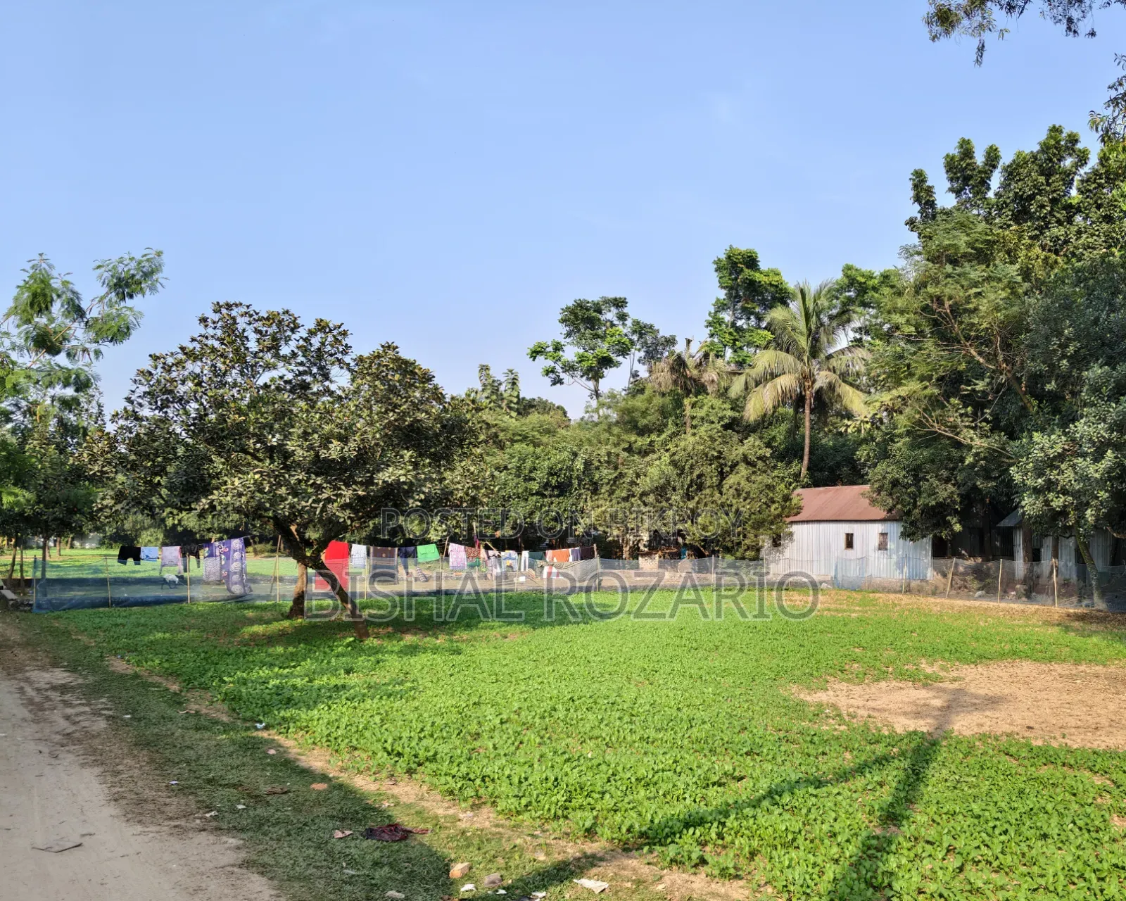 Urgent Land Sale