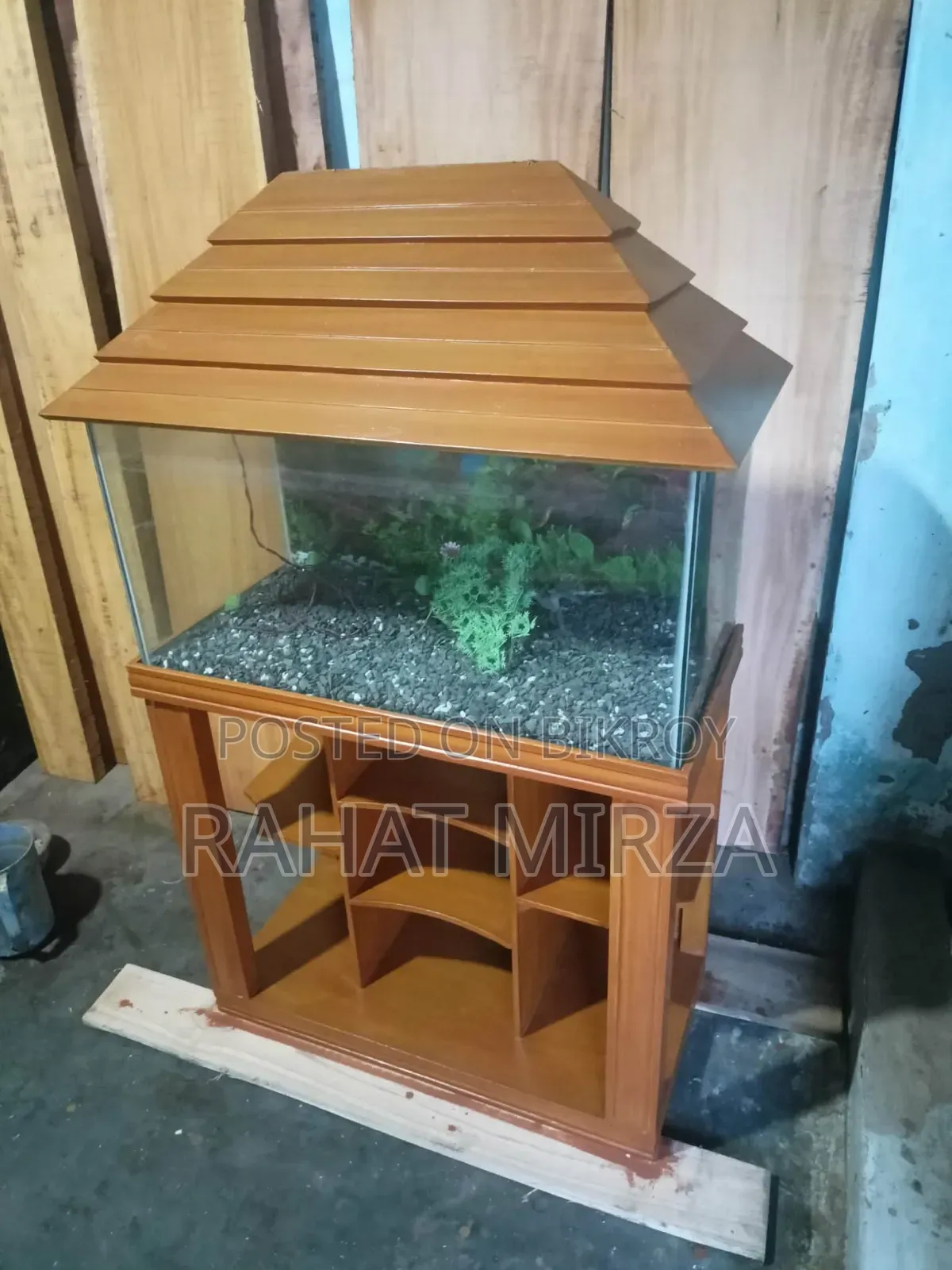 Fish Aquarium