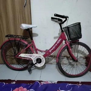 লেডিস সাইকেল