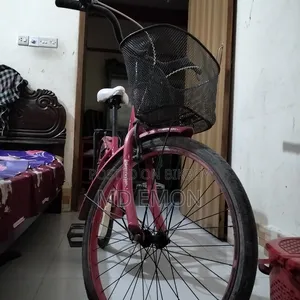 লেডিস সাইকেল