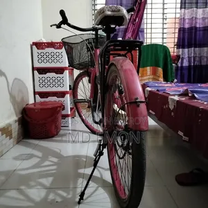 লেডিস সাইকেল