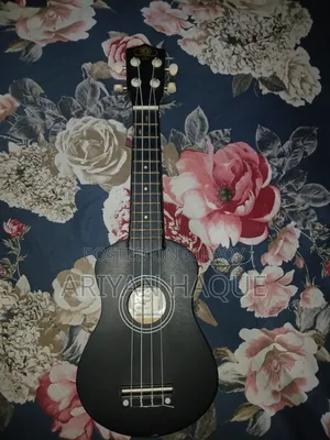 Ukulele Guiter