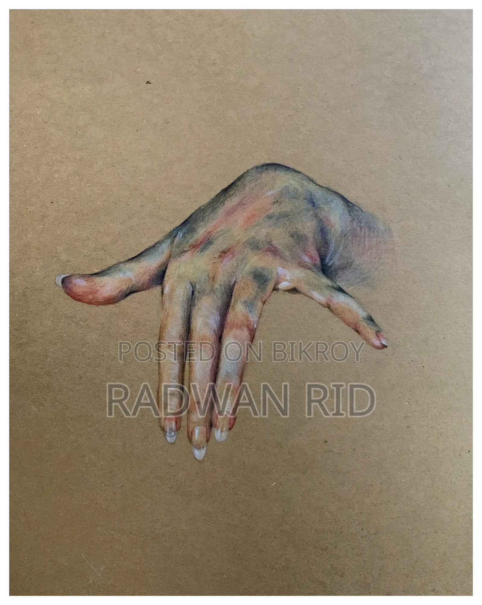 Hand-drawn Realistic Colour Pencil Drawing