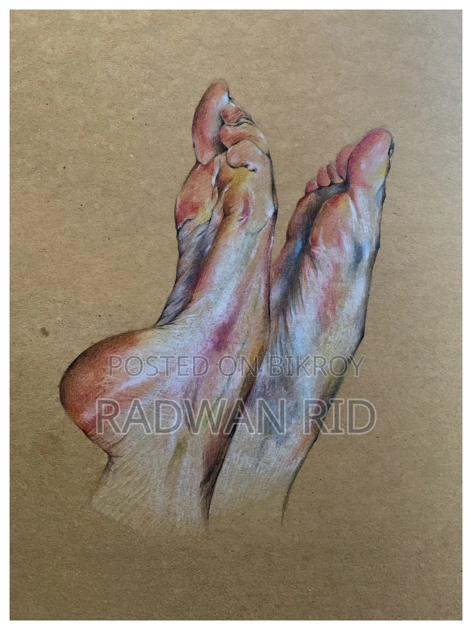Hand-drawn Realistic Colour Pencil Drawing