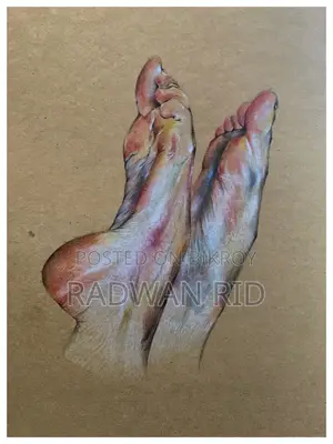Hand-drawn Realistic Colour Pencil Drawing
