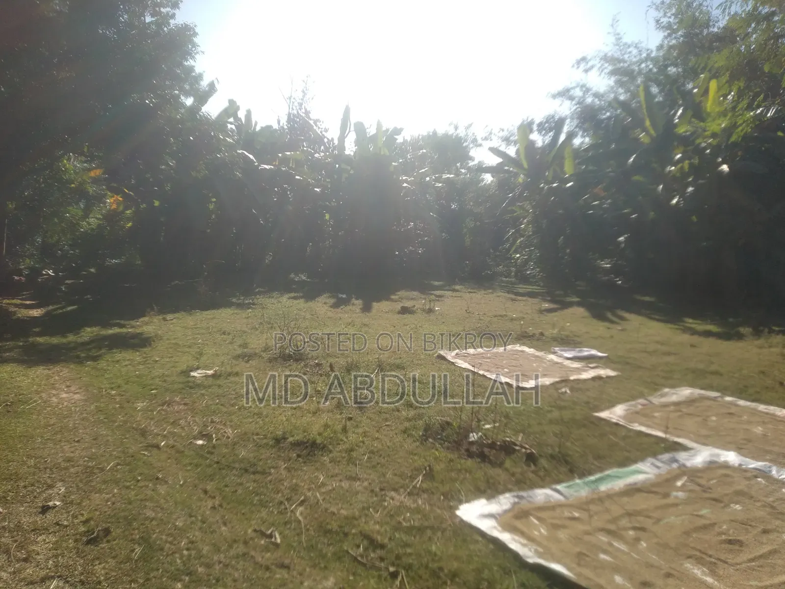 Land for Sale