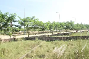Land Buying and Selling