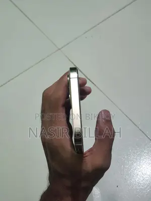 Apple iPhone 12 Pro Max 128 GB হোয়াইট