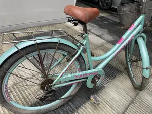 Avon Love Cycle