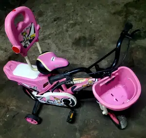 Phoenix Tubeless 12 Size Baby Cycle