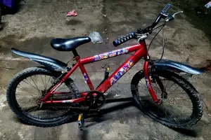মেঘনা কোম্পানির সাইকেল ২০