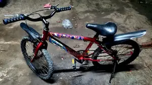 মেঘনা কোম্পানির সাইকেল ২০