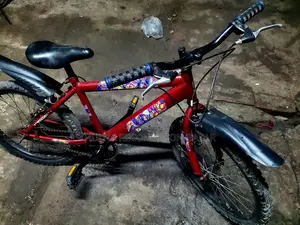 মেঘনা কোম্পানির সাইকেল ২০