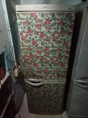 Lg Refrigerator