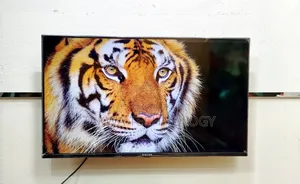 Singer 43-inch Smart Android Frameless Voice Control TV