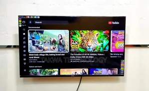 Haier 43-inch Smart Android Frameless Voice Control TV