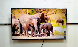 Haier 43-inch Smart Android Frameless Voice Control TV