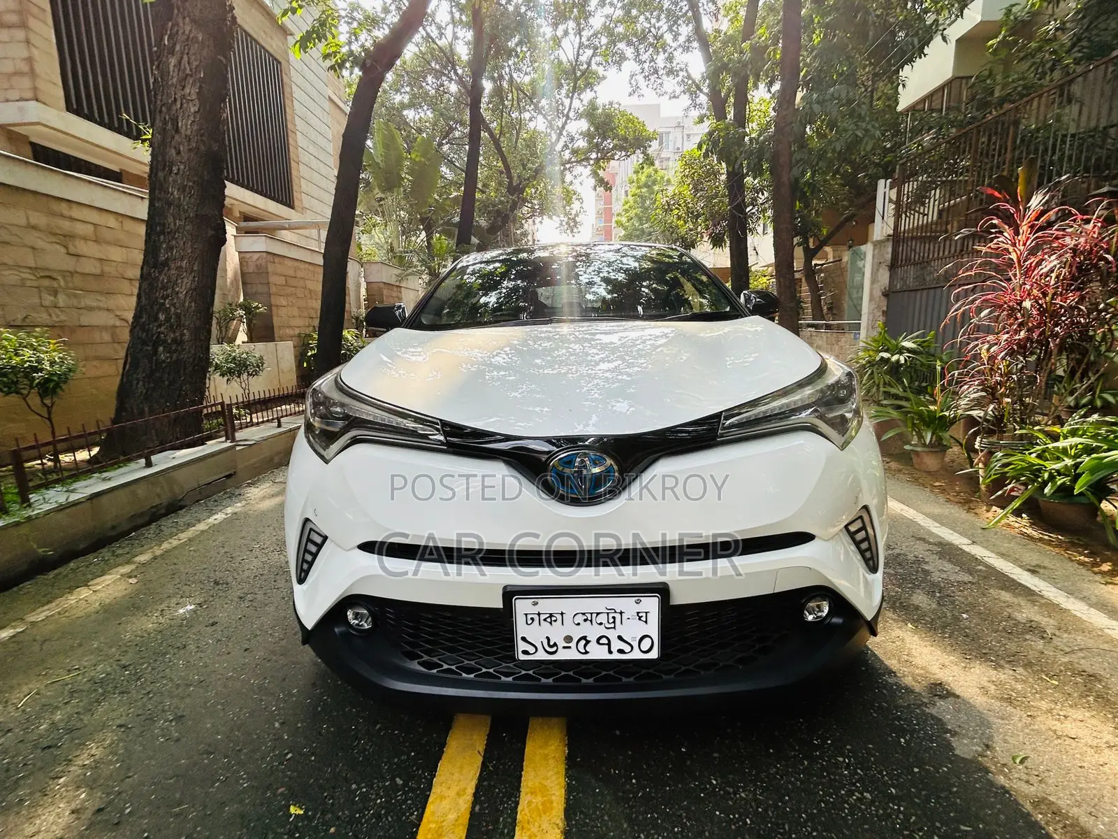 Toyota C-Hr Limited FWD 2019 White