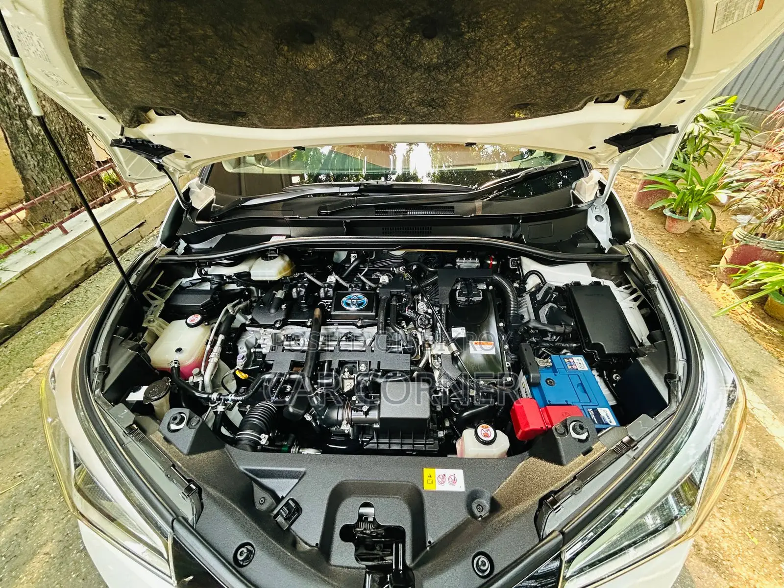 Toyota C-Hr Limited FWD 2019 White
