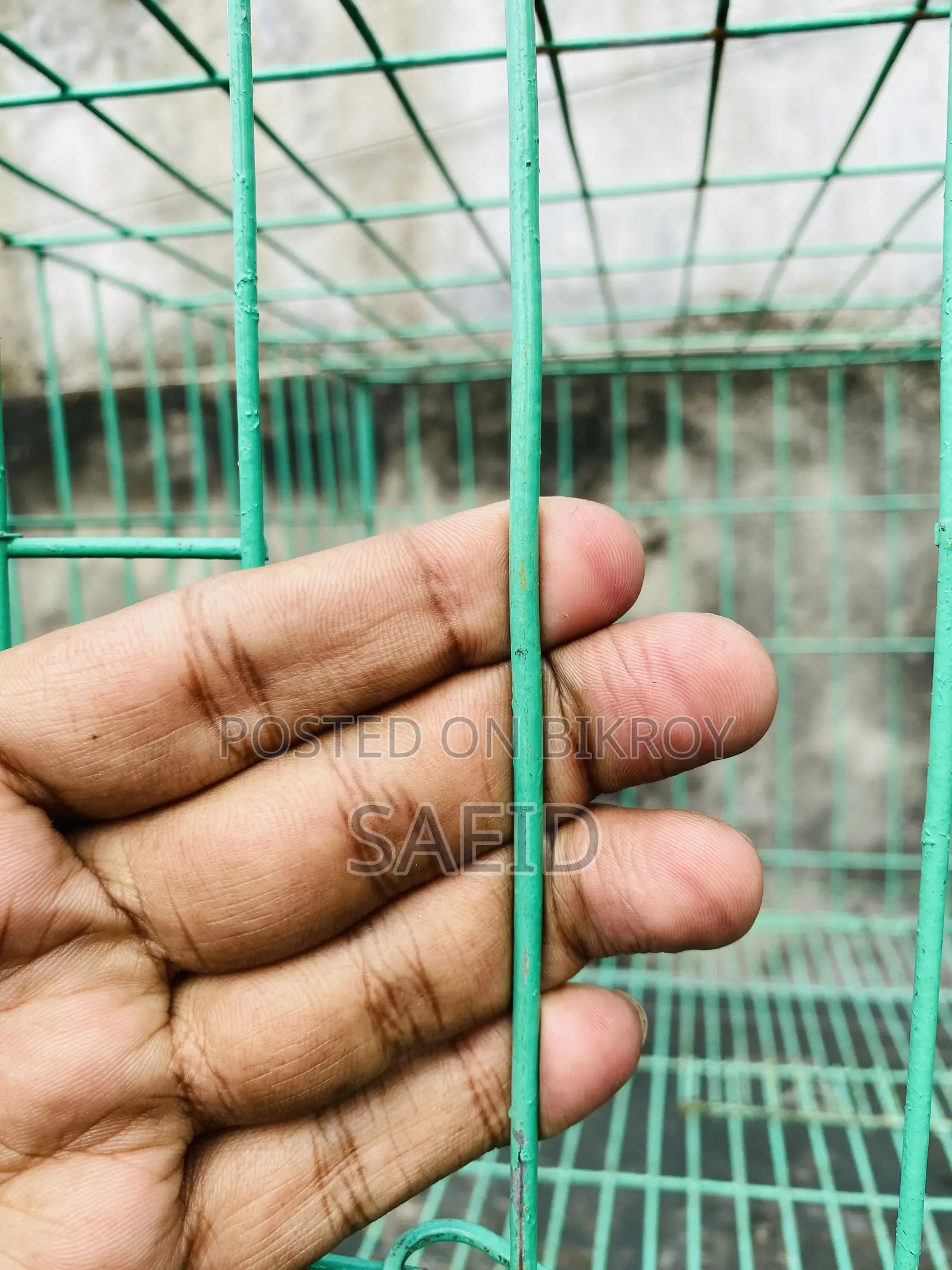 Custom Made Pigeon Cage
