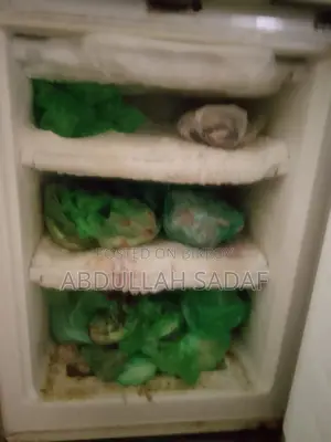 Singer Fridge