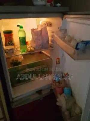 Singer Fridge