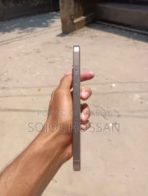 Apple iPhone 16 Pro Max 256 GB রোজ গোল্ড