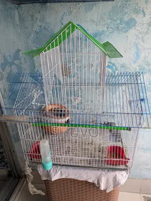 Pakhir Khacha