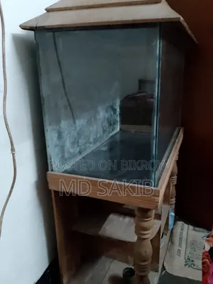 স্ট্যান্ড অ্যাকোয়ারিয়াম