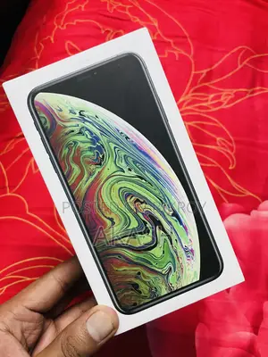 Apple iPhone XS Max 256 GB Gray