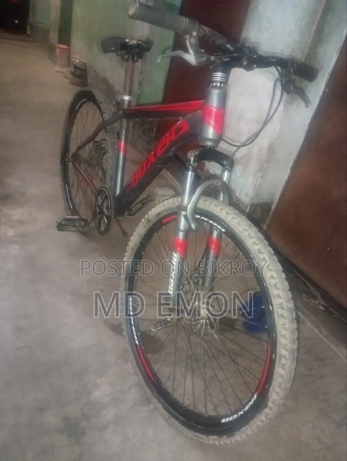 Boxer Bicycle!