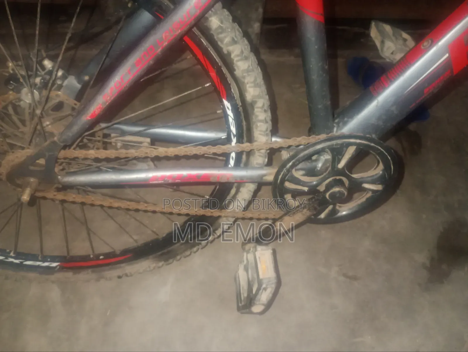 Boxer Bicycle!