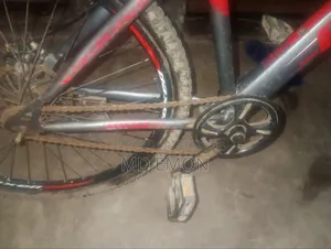 Boxer Bicycle!