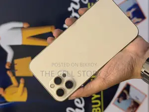 Apple iPhone 12 Pro Max 256 GB গোল্ড