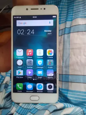 Vivo V5 Bronze