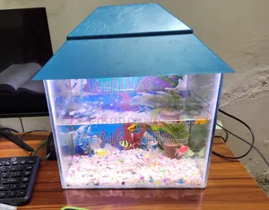 একুরিয়াম সেটাপ (৫ জোড়া মাছ সহ)