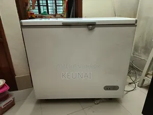 Deep Fridge With Stabilizer