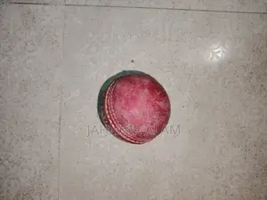 Urgent Sale Cricket Kit.Ss Bat,Ball,Ss Kit Bag,Inferno Leg Peds Ss Hel
