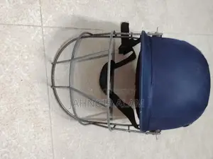 Urgent Sale Cricket Kit.Ss Bat,Ball,Ss Kit Bag,Inferno Leg Peds Ss Hel