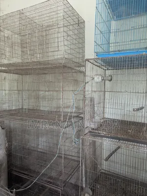 Bird Cage