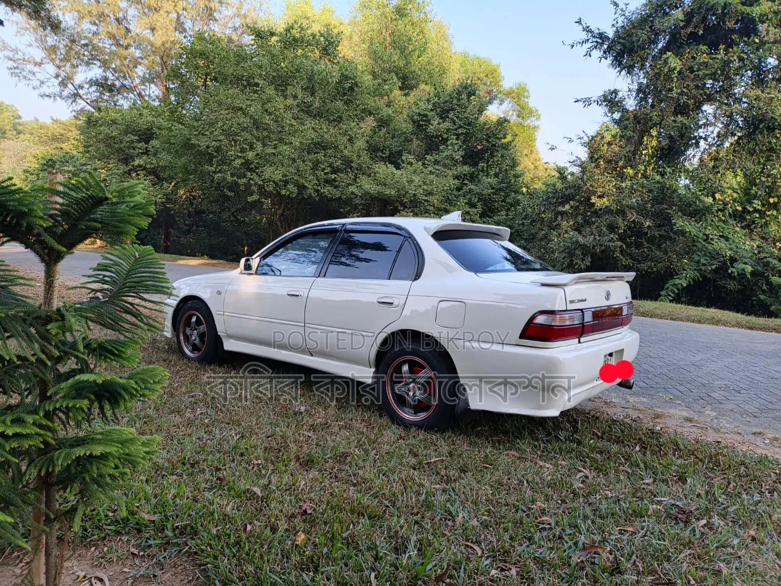 Toyota Corolla 1993 Pearl